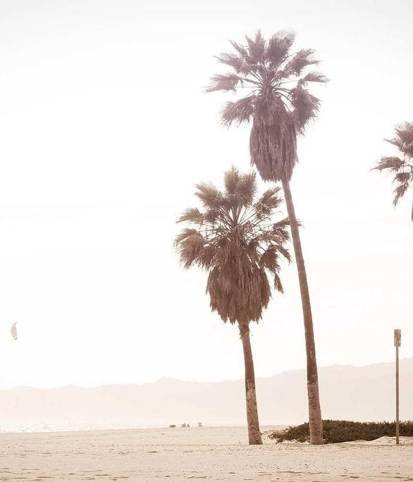 Bomber Jacket — Jackets manufactured by StitchServe