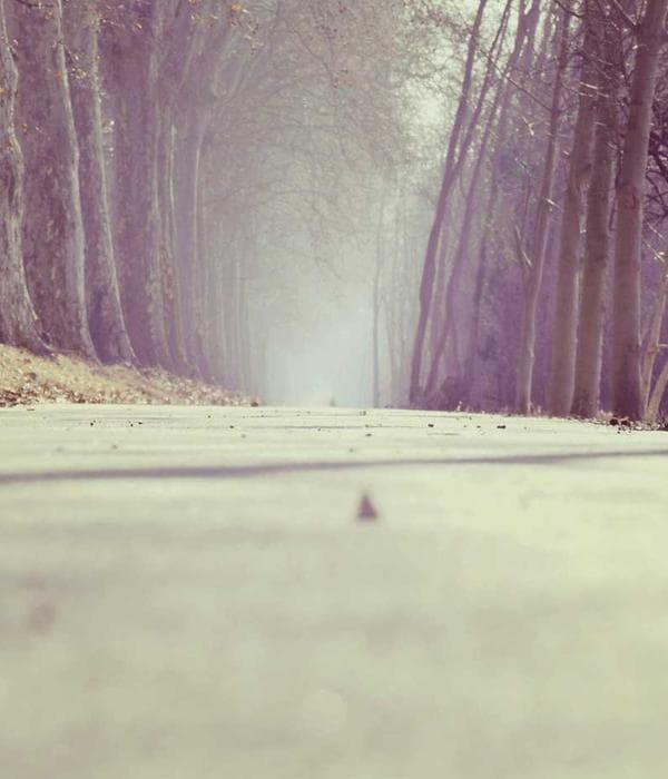 Oxford Formal Shirt — Shirts manufactured by StitchServe